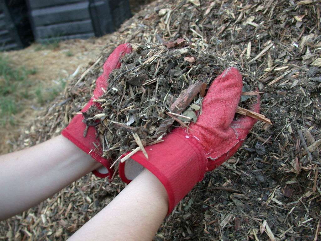 DIY and Mulch Delivery vs. Using a Pro for Mulching in Alexandria, VA